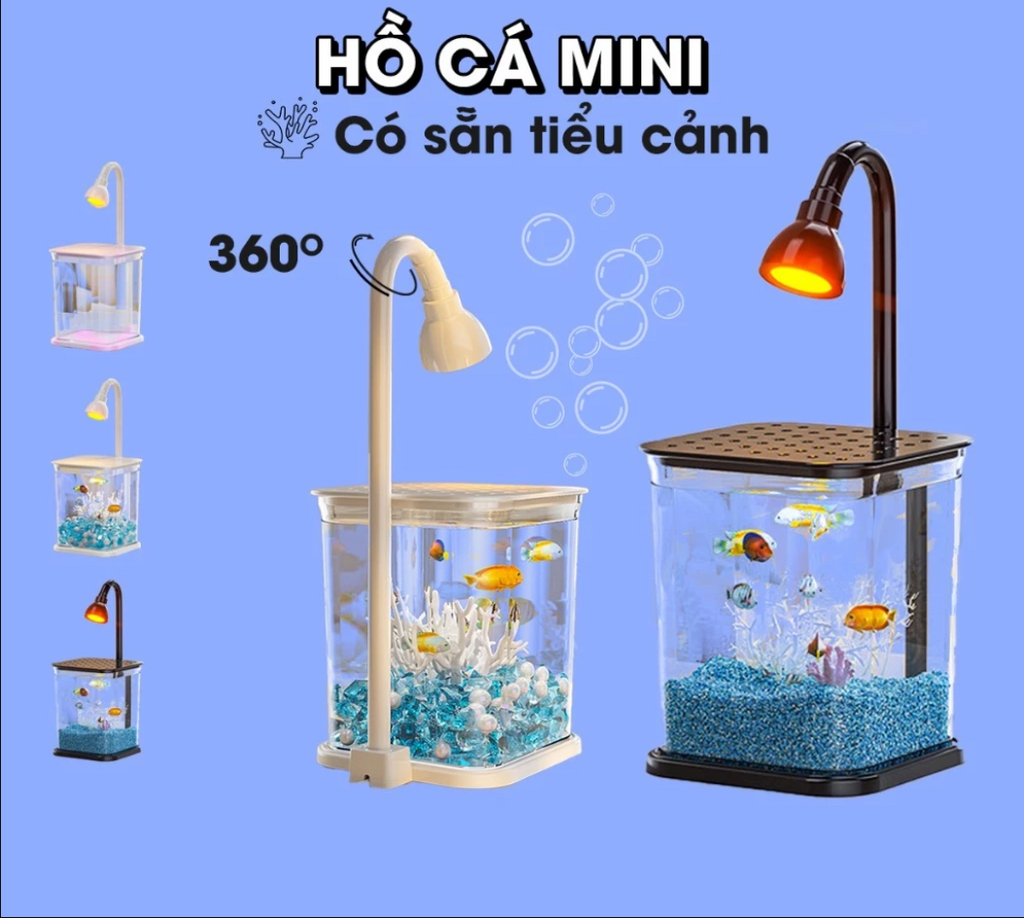 Bể Cá Thủy Sinh Mini